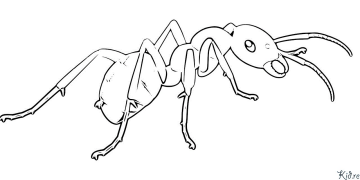 Mrówka Kolorowanki Do Druku